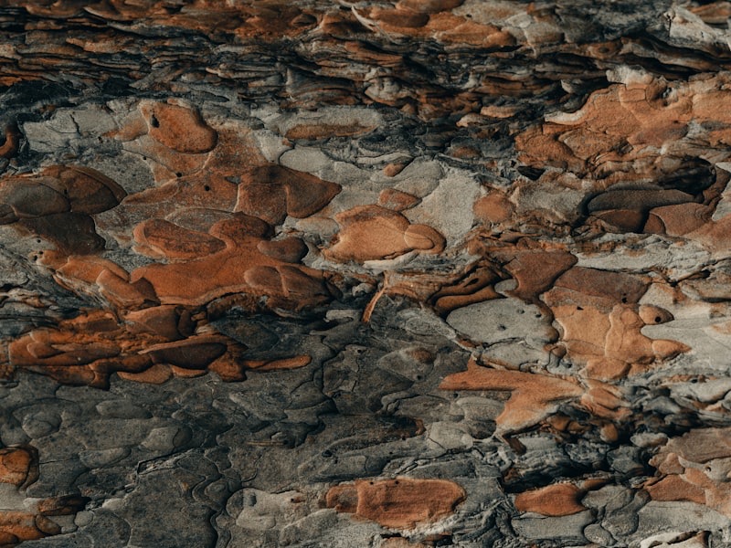 Corrected-grain leather