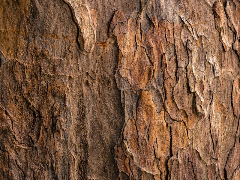 Full-grain leather